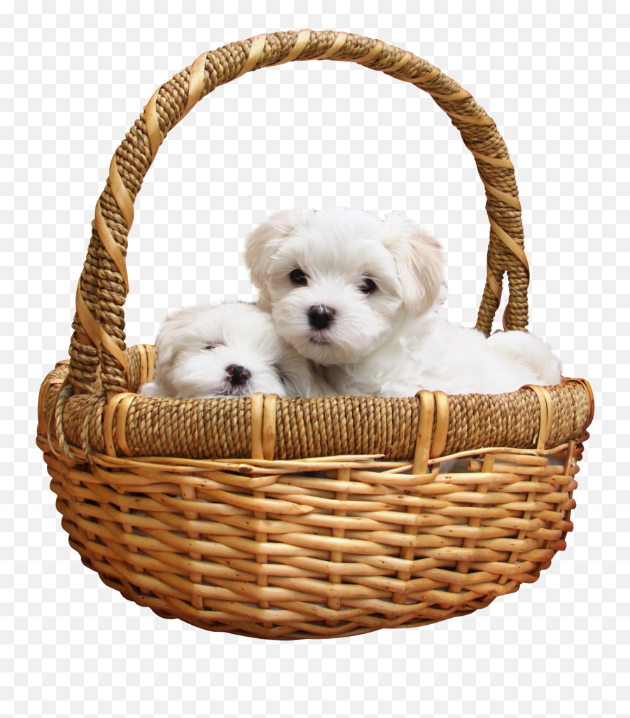 Download Puppy Png Image For Free Emoji,Puppy Png