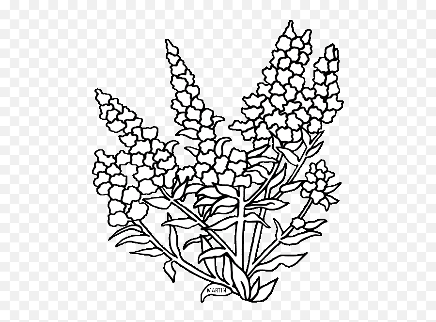 Library Of Wild Flower Image Black And White Download Black - Nebraska State Flower Emoji,Flower Clipart Black And White