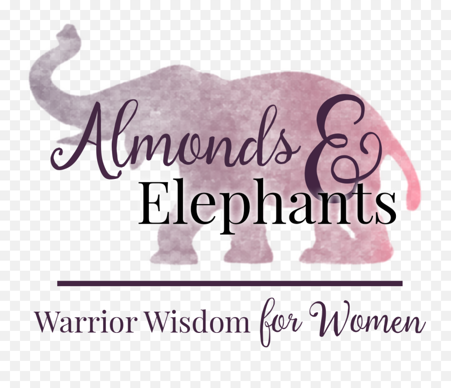 Almonds Elephants - Animal Figure Emoji,Elephant Transparent Background