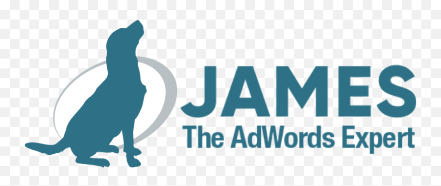 James The Adwords Expert - Art Colleges Emoji,Adword Logo