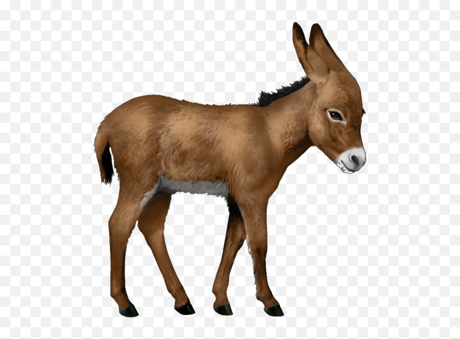 Donkey Clipart Transparent Background - Donkey Transparent Emoji,Donkey Clipart