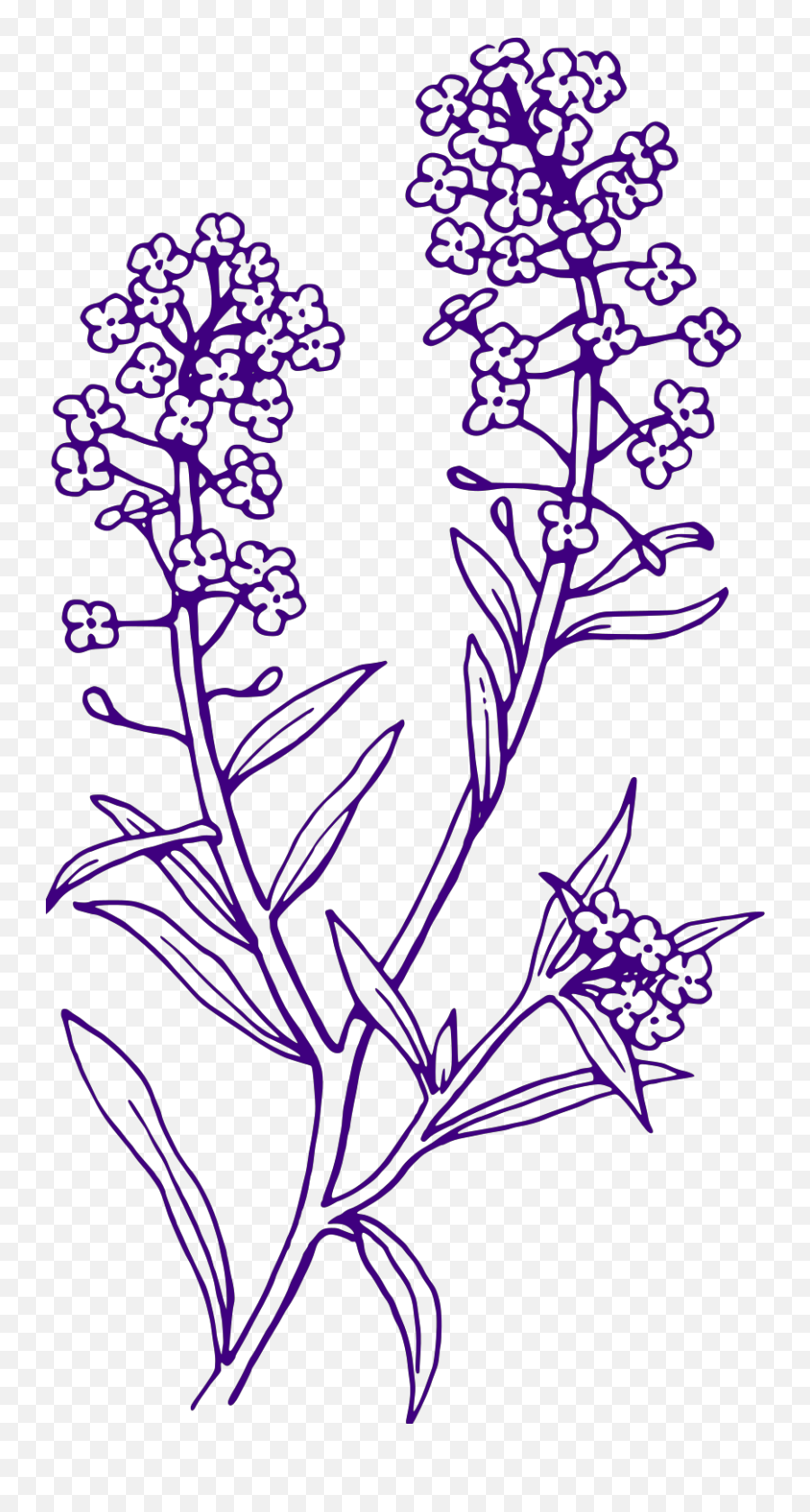 Purple Filler Flowers Svg Vector Purple Filler Flowers Clip Emoji,Clipart Of Flowers