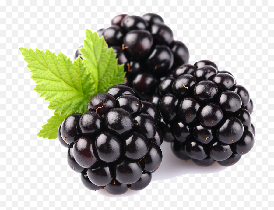 Blackberry Fruit Png Transparent Images - Blackberry Fruit Emoji,Fruit Png