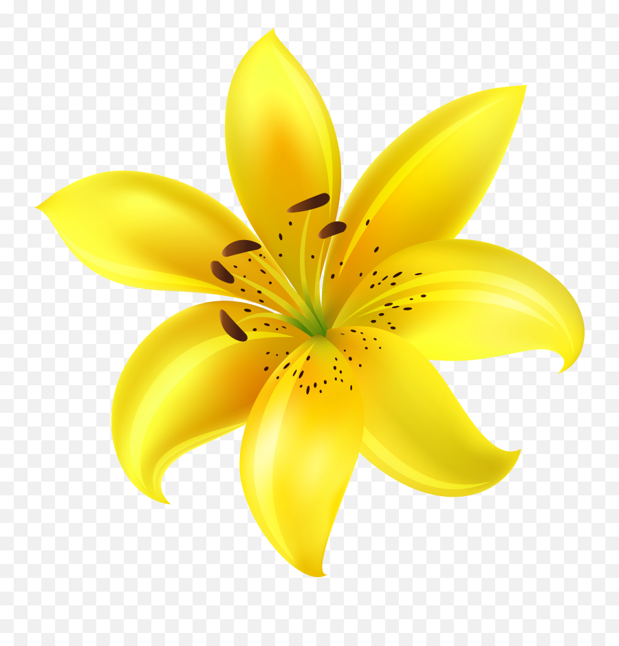 Library Of Flower Clip Art Royalty Free Yellow Png Files Emoji,Flower Clipart