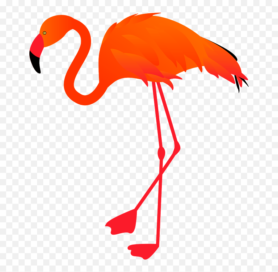 Flamingo Clipart Free Download Transparent Png Creazilla Emoji,Darkness Clipart