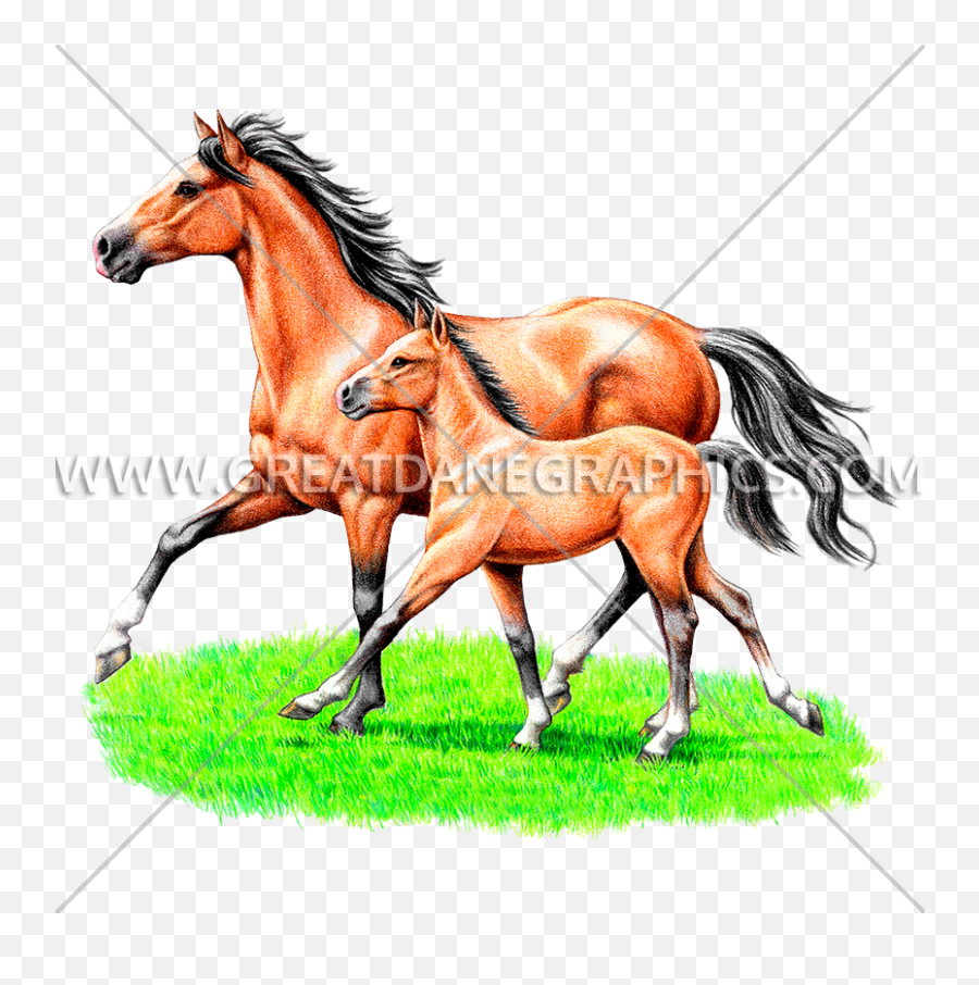 Free Spirit Horses Production Ready Artwork For T - Shirt Animal Figure Emoji,Horses Png
