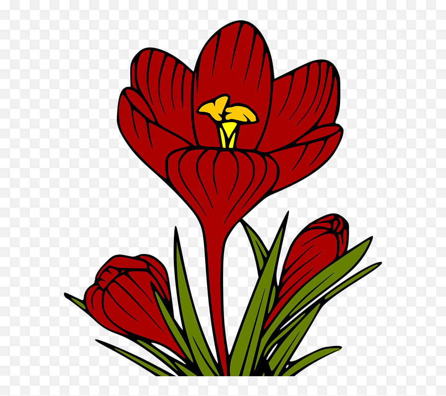 Free Photo Flowers Petals Foliage Leaves Tulips Buds Sheet Emoji,Flower Petal Png