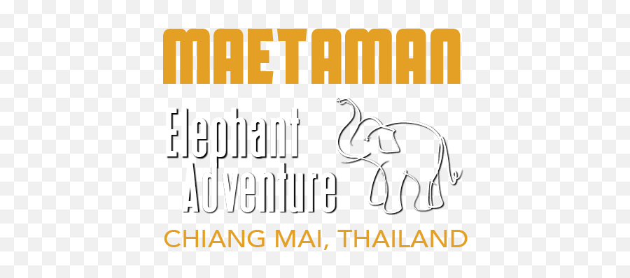 Once In A Lifetime Experiences Contact Elephant Adventure - Big Emoji,Elephant Logo