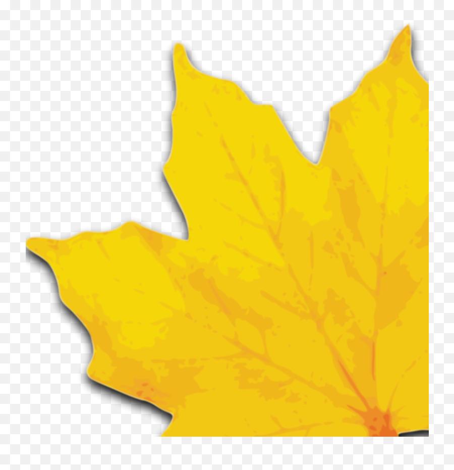 Maple Leaf Svg Vector Maple Leaf Clip Art - Svg Clipart Lovely Emoji,Maple Leaf Clipart