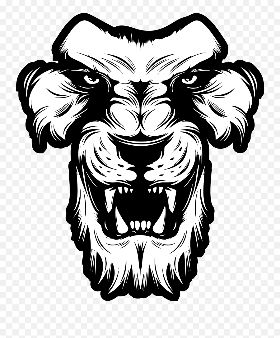 Lion Head - Black And White Clipart Free Download Iphone 6s Back Cover Printed Emoji,Lion Head Clipart