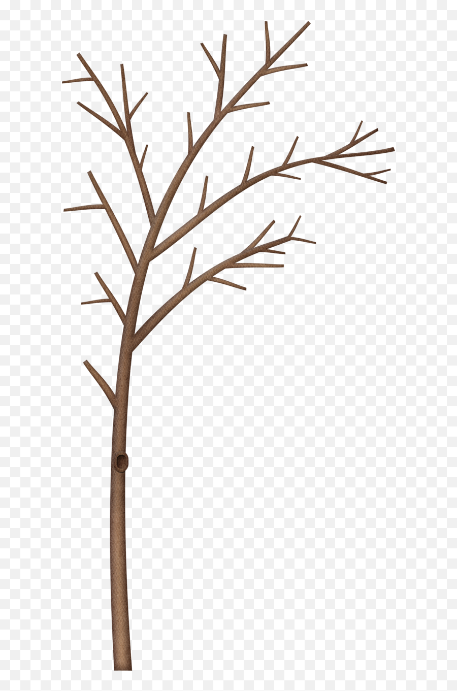 Pin - Winter Trees Page Borders Emoji,Bare Tree Clipart