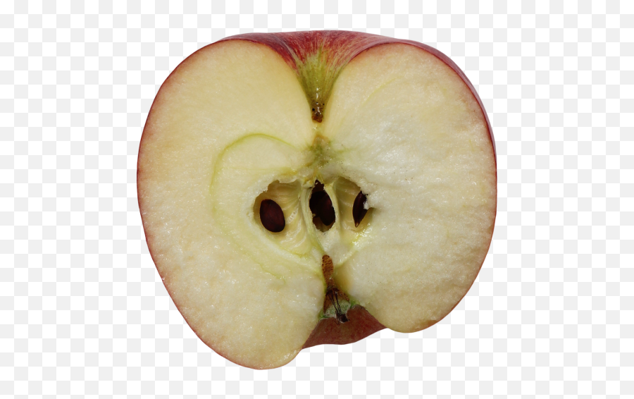 Half Apple Transparent Png Image - Apple Half Png Emoji,Yellow Transparent Apple
