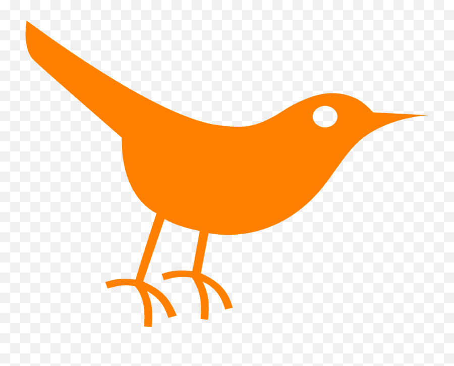 Bird Twitter Orange Sparrow Pigeon Dove - Twitter Transparent Orange Logo Emoji,Twitter Bird Png