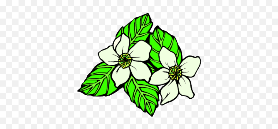 Mississippi Flower Emoji,Magnolia Clipart