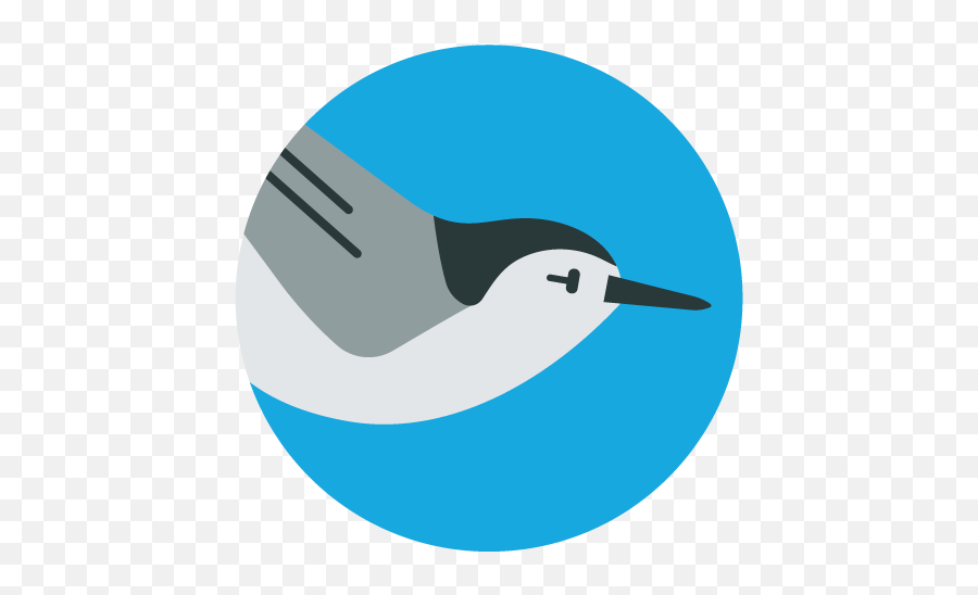 Birdability Week U2014 Birdability Emoji,Turkey Beak Clipart