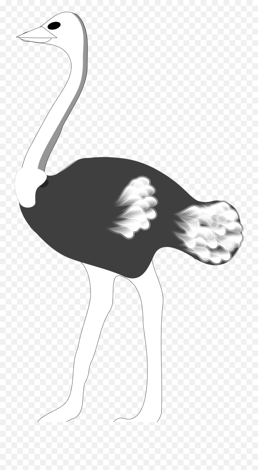 Ostrich Svg Vector Ostrich Clip Art - Ostrich Image Clip Art White And Black Emoji,Ostrich Clipart