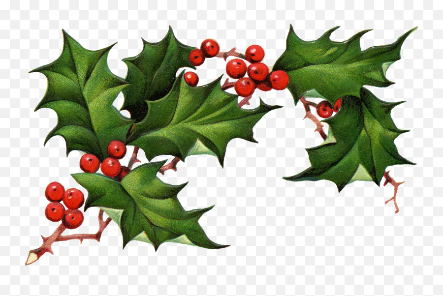 55 Free Holly Clipart - Winter Solstice Yule Clipart Emoji,Holly Clipart