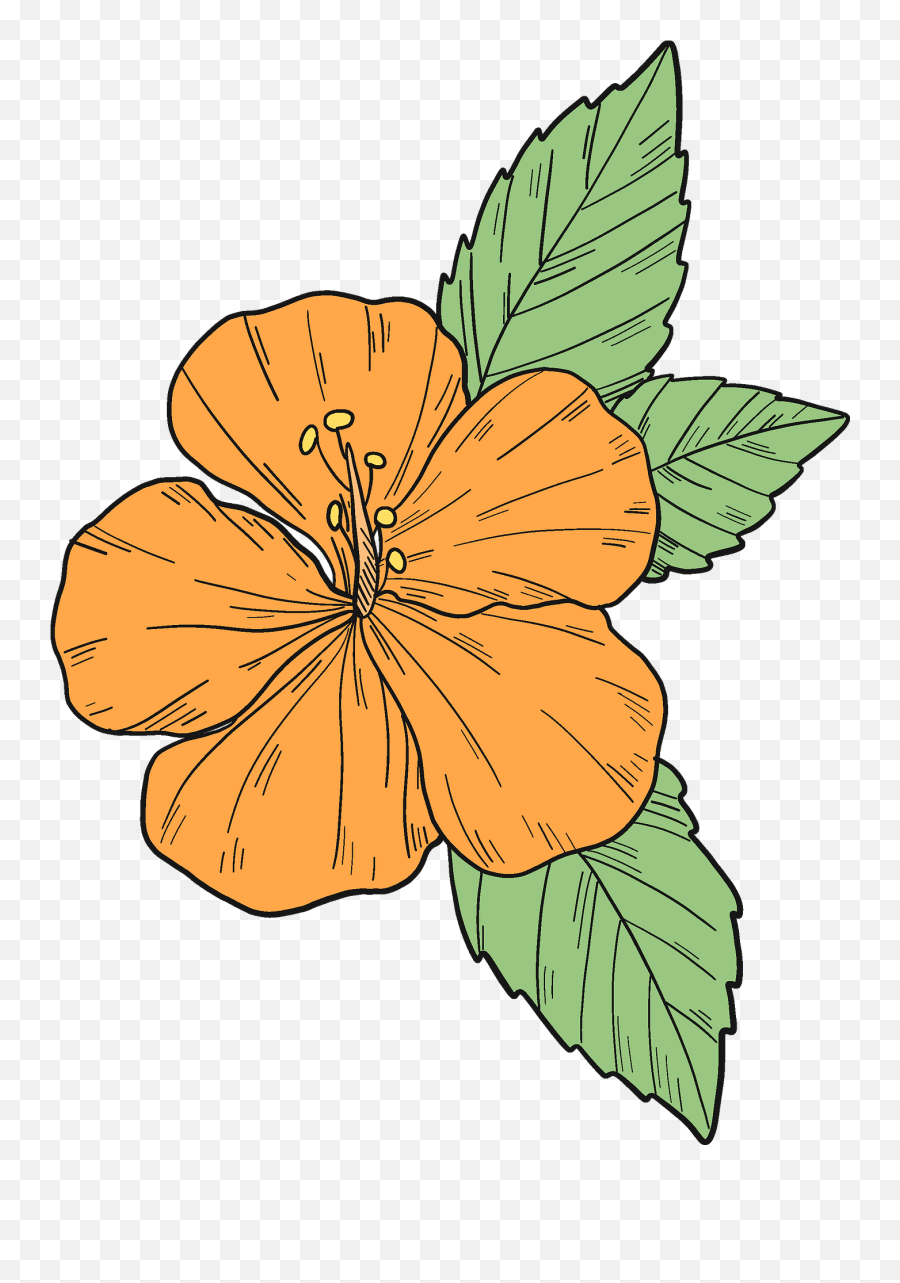 Orange Hibiscus Flower Clipart Emoji,Hibiscus Flower Clipart