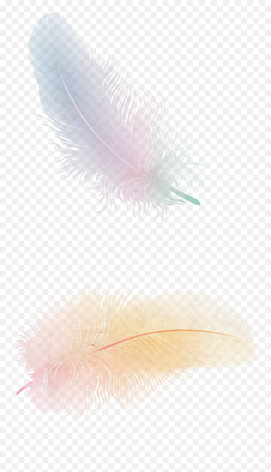Feather Png - Png Emoji,Feather Png