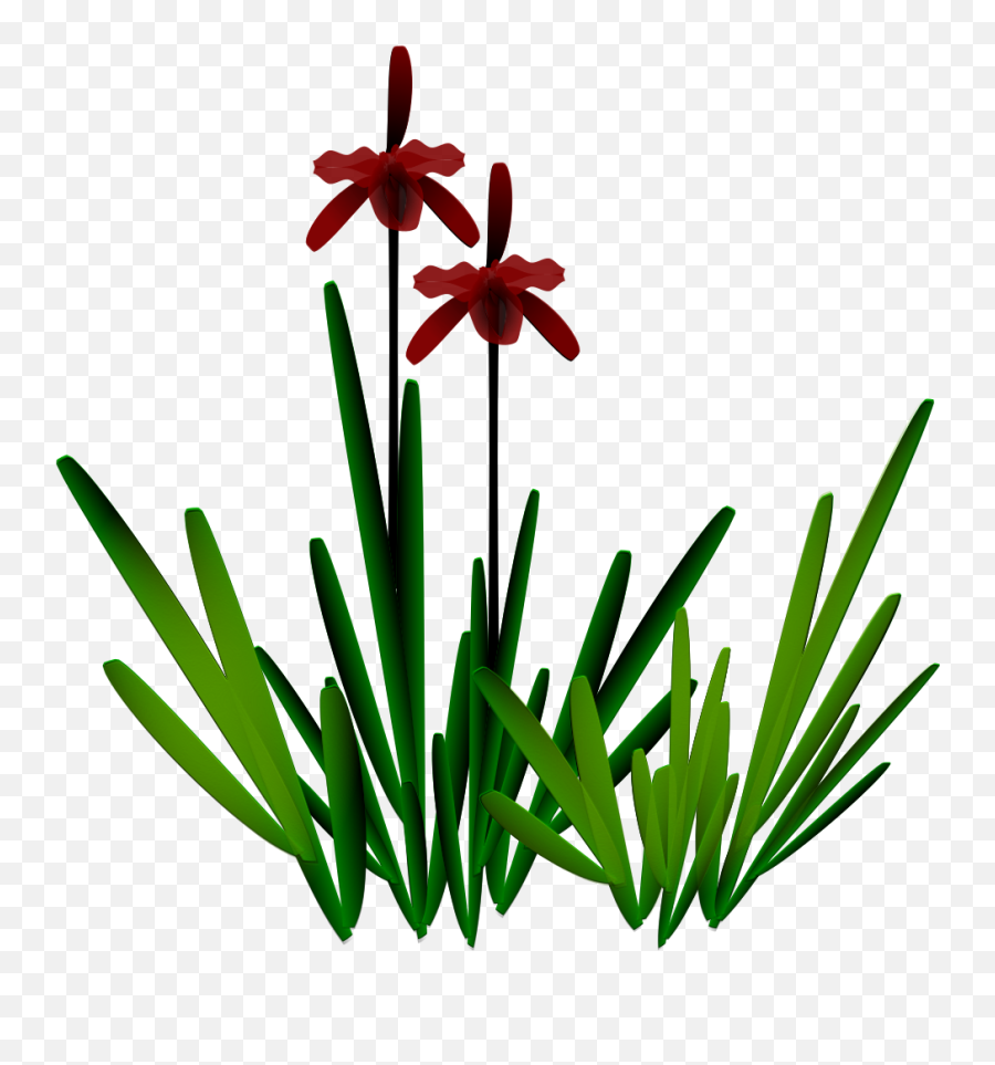 Stylized Jungle Plants Textures - Stylizedjungleplant03png Emoji,Jungle Plants Png