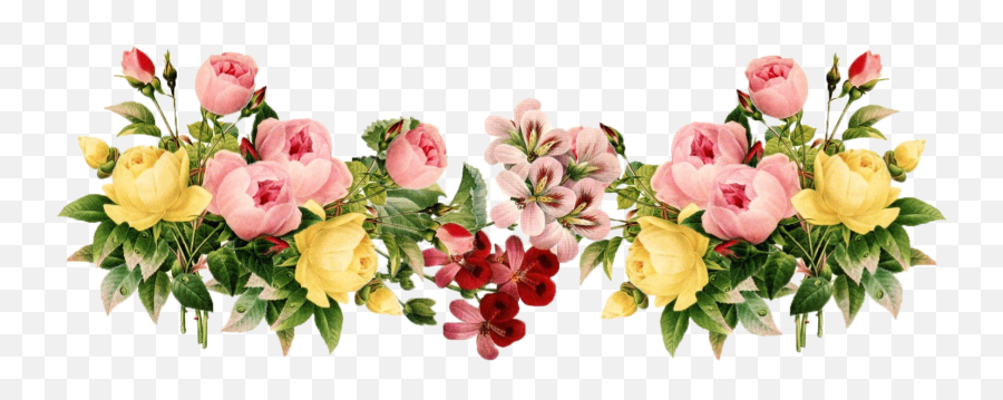 Free Real Flowers Png Download Free - Transparent Real Flower Border Emoji,Flower Png