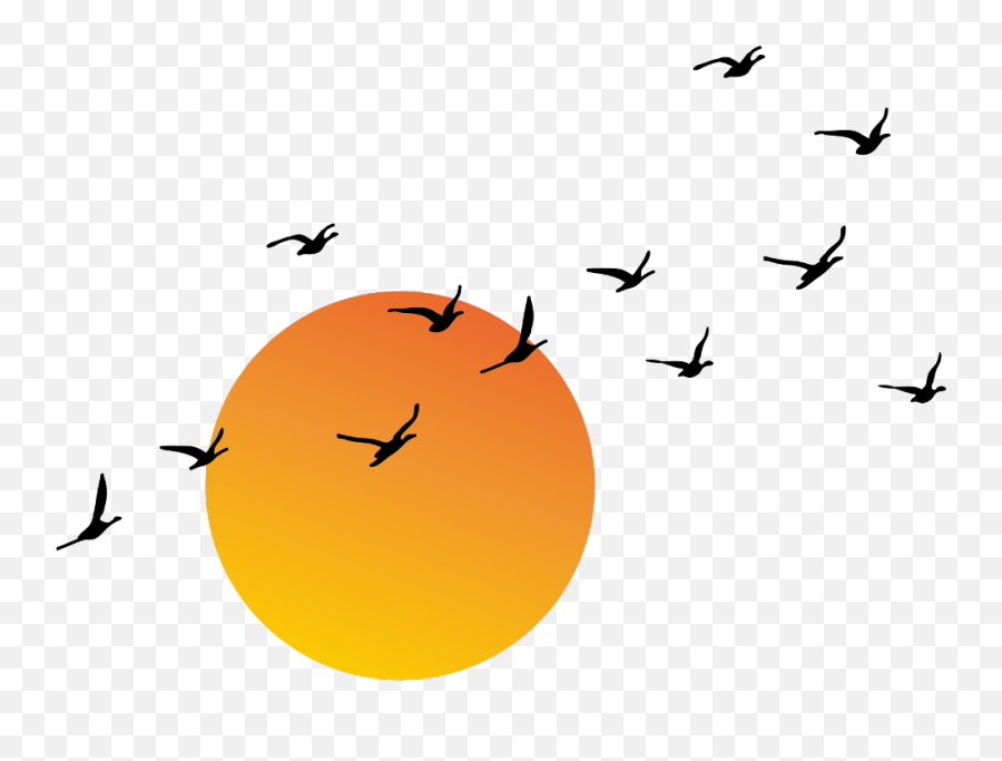 Ftestickers Clipart Sun Sunlight Birds Flock - Sun And Birds Png Emoji,Good Clipart