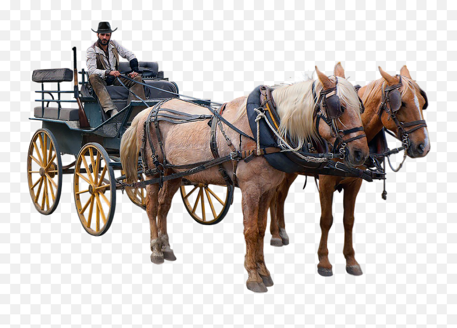 Wagon Western Horse - Free Image On Pixabay Emoji,Horses Png