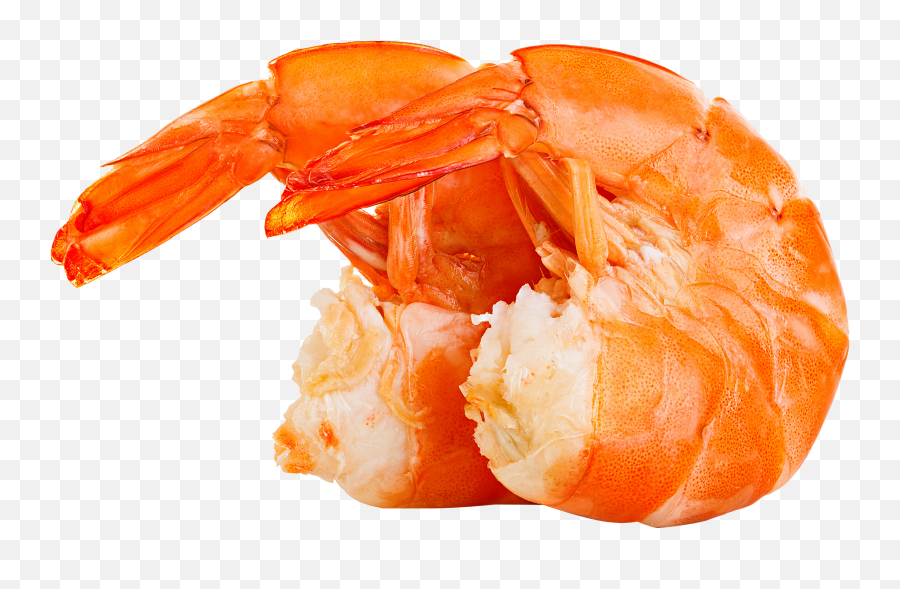 Shrimp Png Image Emoji,Shrimp Png