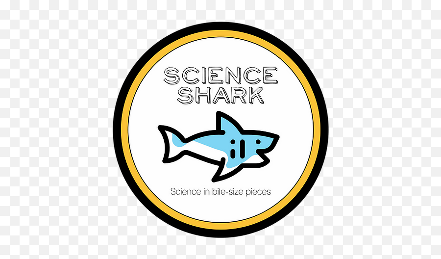 Blog Home Accueil Science Shark - Fish Emoji,Shark Logo