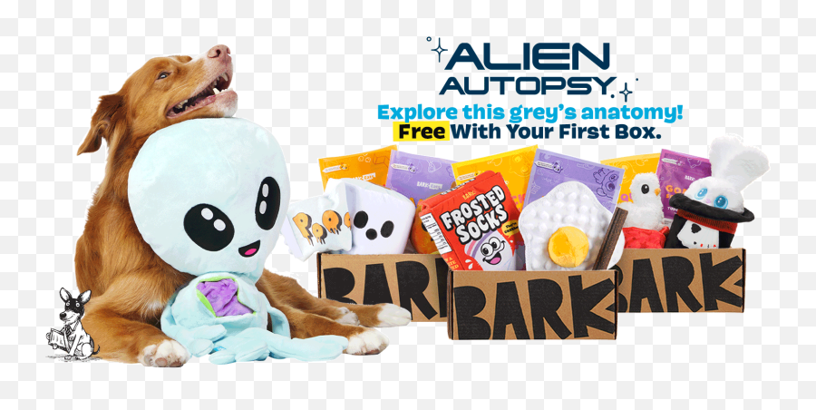 Barkbox - The Monthly Dog Toy And Treat Box Emoji,Funny Cat Png