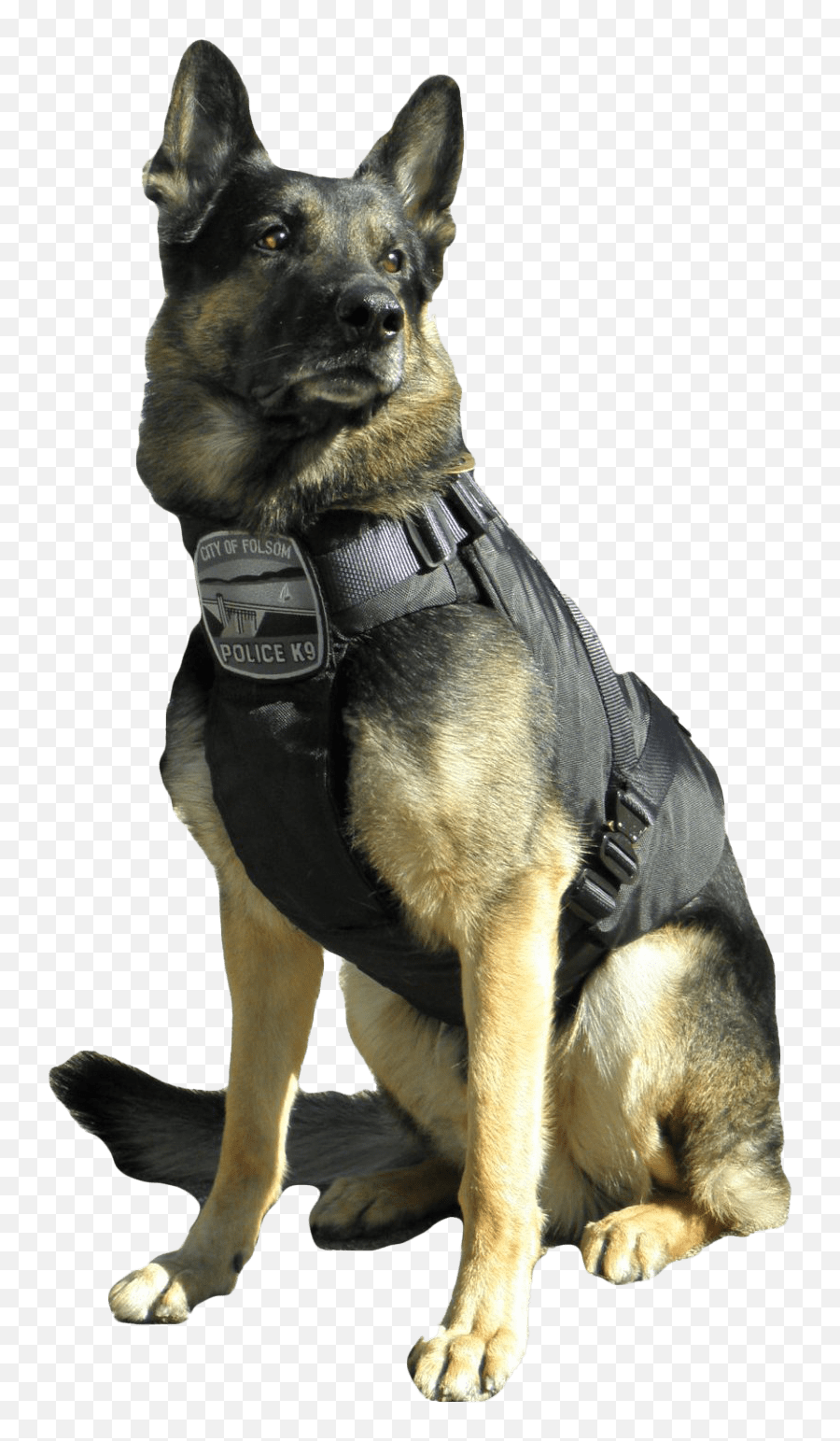 Police German Shepherd Dog Png Transparent Image - Indian Police German Shepherd Png Emoji,German Shepherd Clipart