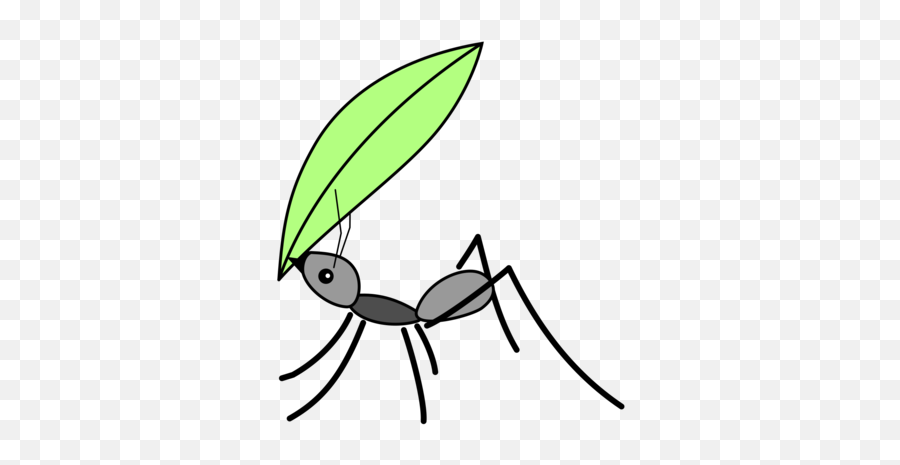 Flyline Artleaf - Drawing Ant Clipart Full Size Clipart Draw A Leaf Cutter Ant Emoji,Fire Fly Clipart