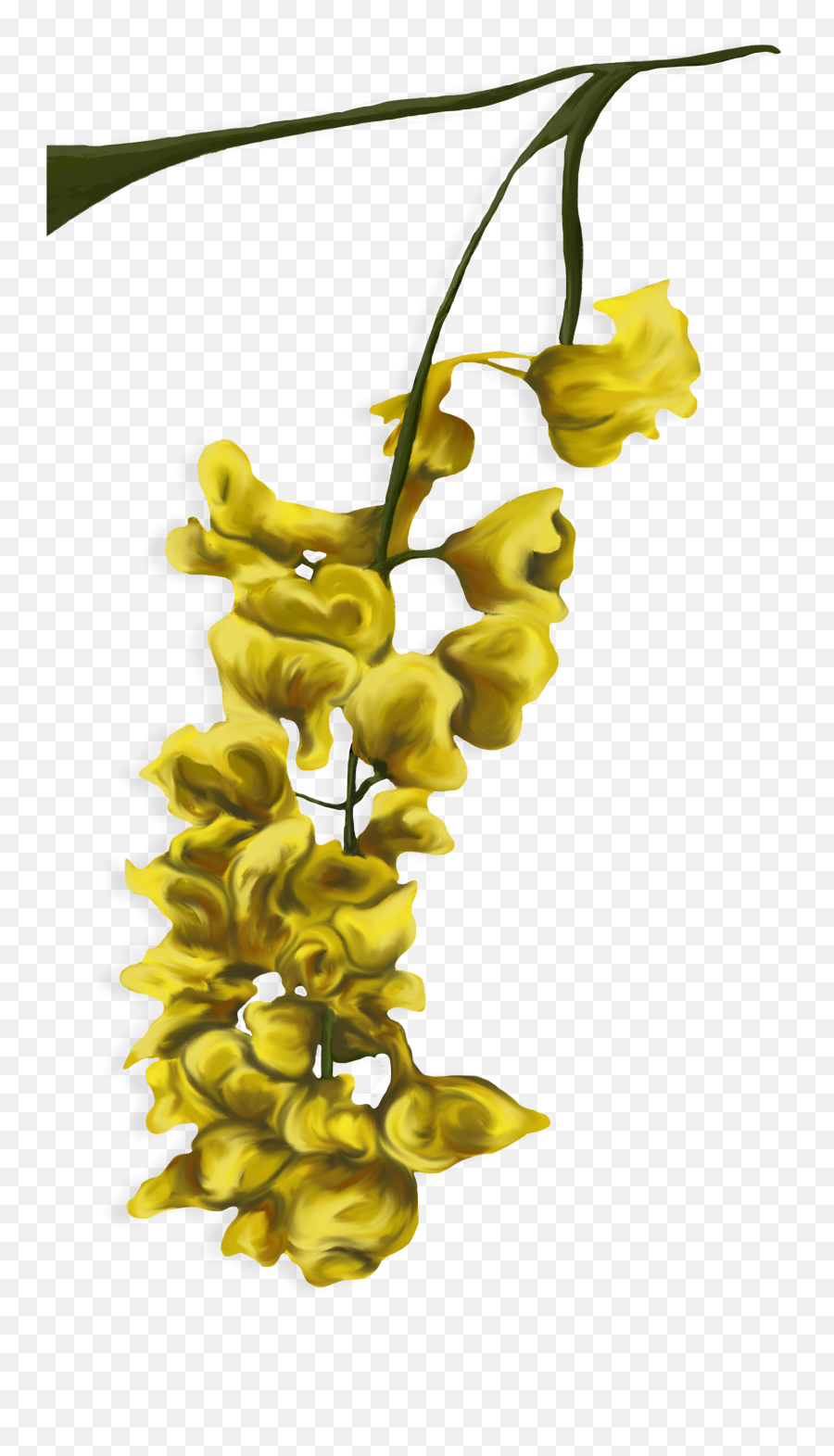 The Troubles Of The Anxious - Moth Orchids Emoji,Yellow Flower Transparent