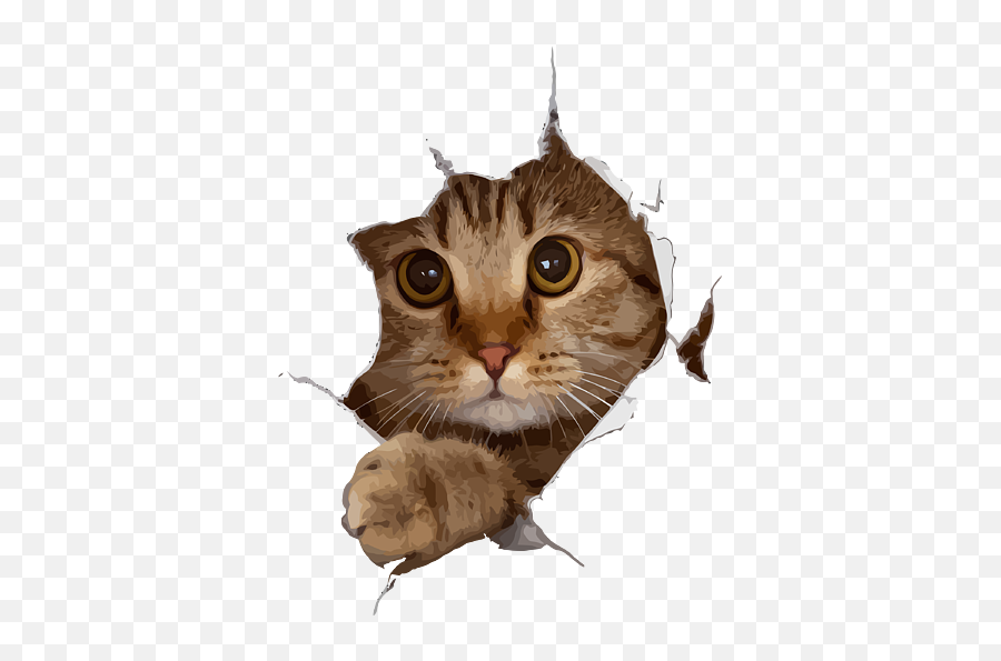 Sweet Kitten Torn Cloth - Funny Cat Lover Cat Owner Cat Lady Emoji,Funny Cat Png