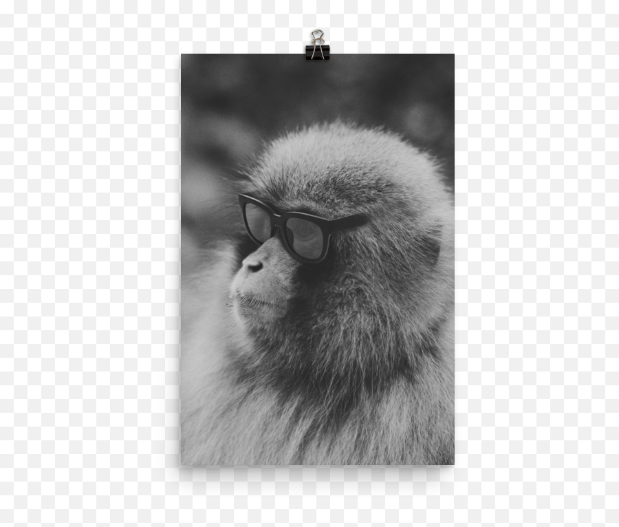 Monkey Business U2013 Bw Poster U2013 Downeast Branding Emoji,Baby Monkey Png