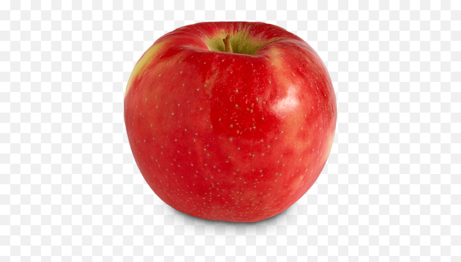 Ontario Apple Growers - Honey Crisp Apple No Background Emoji,Apple Transparent
