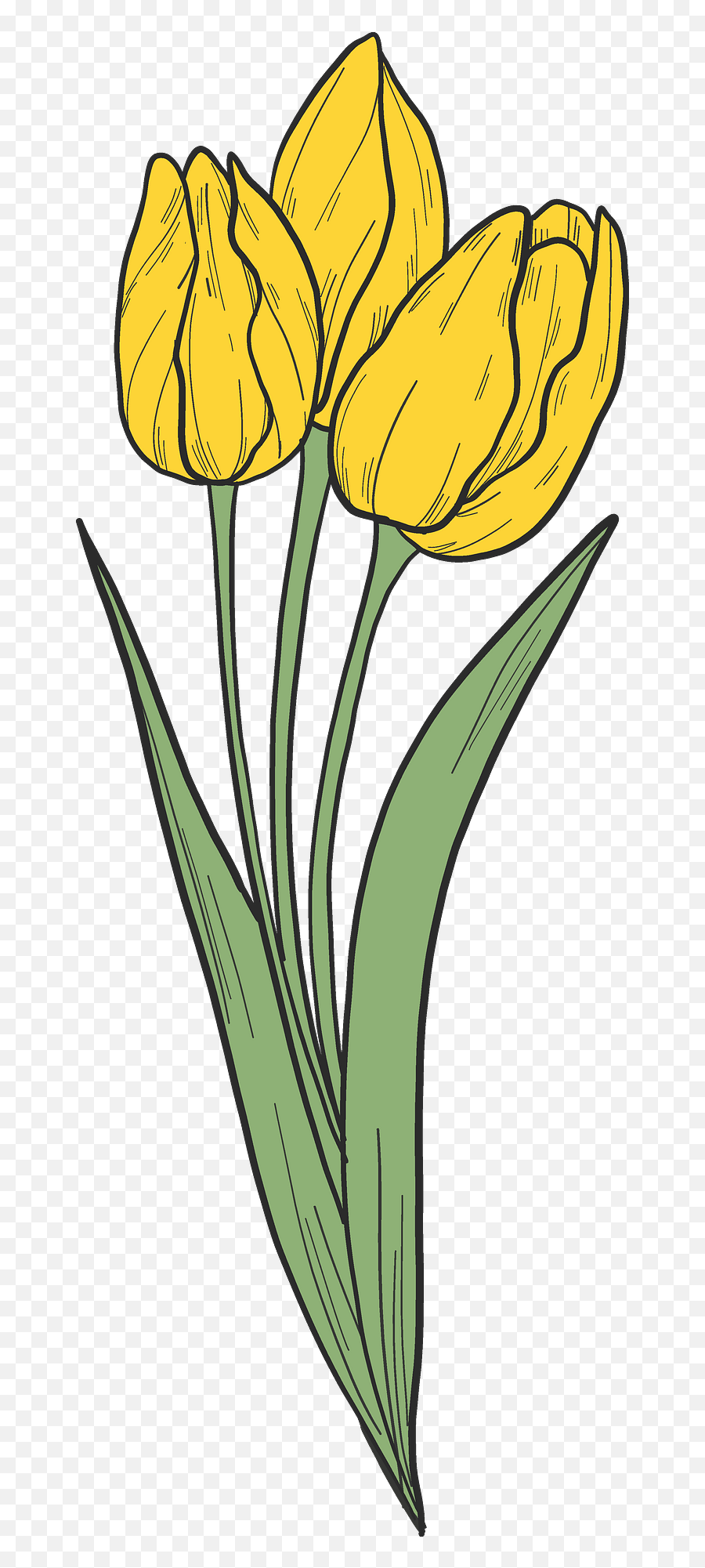 Bouquet Of Yellow Tulips Clipart Free Download Transparent - Tulip Emoji,Tulips Clipart