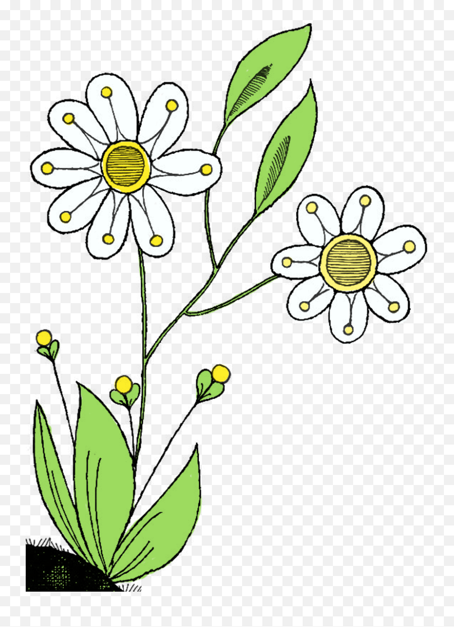 Birthday Flowers Clipart - Wildflower Clip Art Birthday Clip Art Emoji,Wildflower Clipart