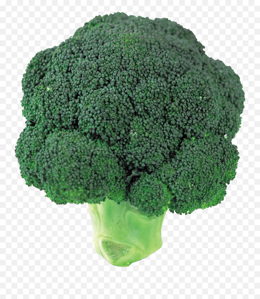 Download Broccoli Png Image For Free Emoji,Broccoli Png