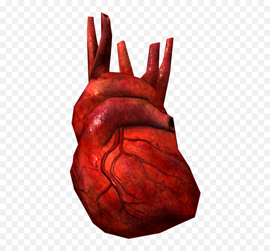 Daedra Heart Skyrim Elder Scrolls Fandom - Daedra Heart Skyrim Emoji,Human Heart Png