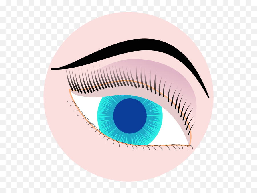 Free Clip Art Eye By Ycteo Emoji,Eye Lash Clipart