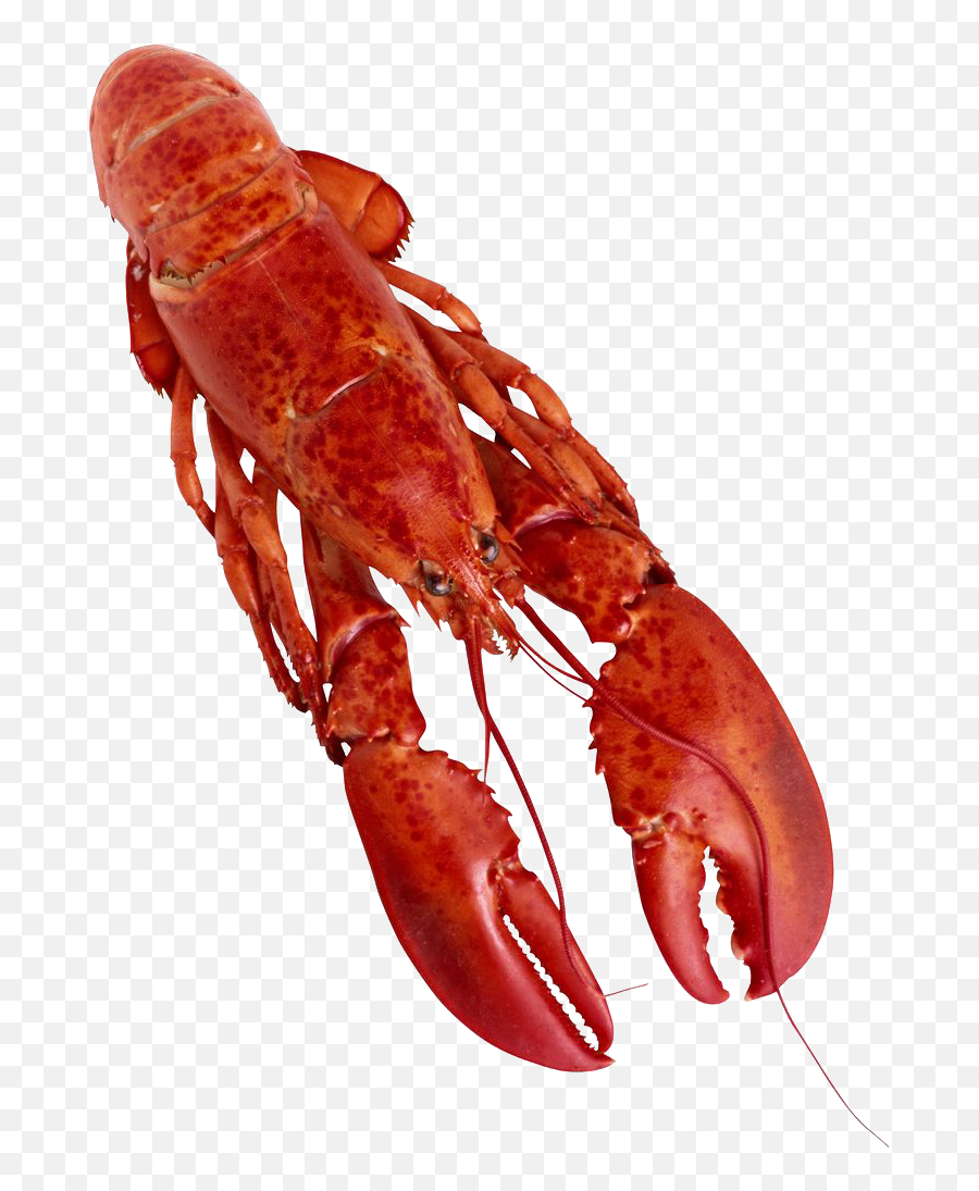 Lobster Png Clipart - Lobster Transparent Background Emoji,Lobster Clipart