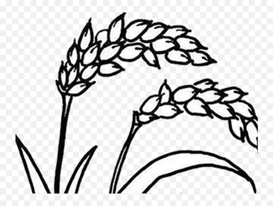 Png Black And White Stock Farming Drawing Rice Plantation Emoji,Plant Clipart Black And White