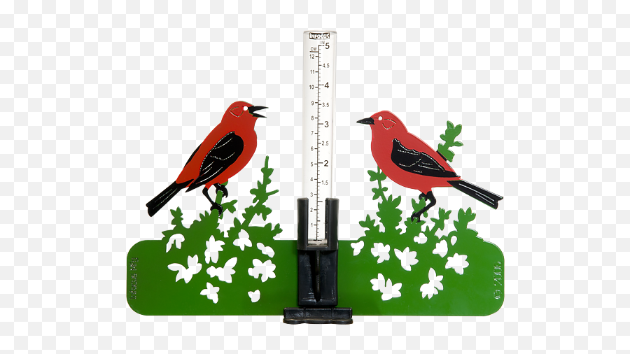 Home - Redbird Infocus Manufacturing Emoji,Red Bird Png