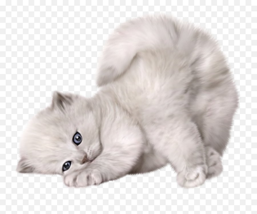 Cat Png - Transparent Cute Animals Png Emoji,Cat Transparent Background