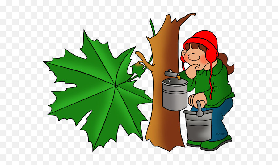 Maple Tree Clipart - Clipart Best Sap Of A Tree Cartoon Emoji,Maple Leaf Clipart