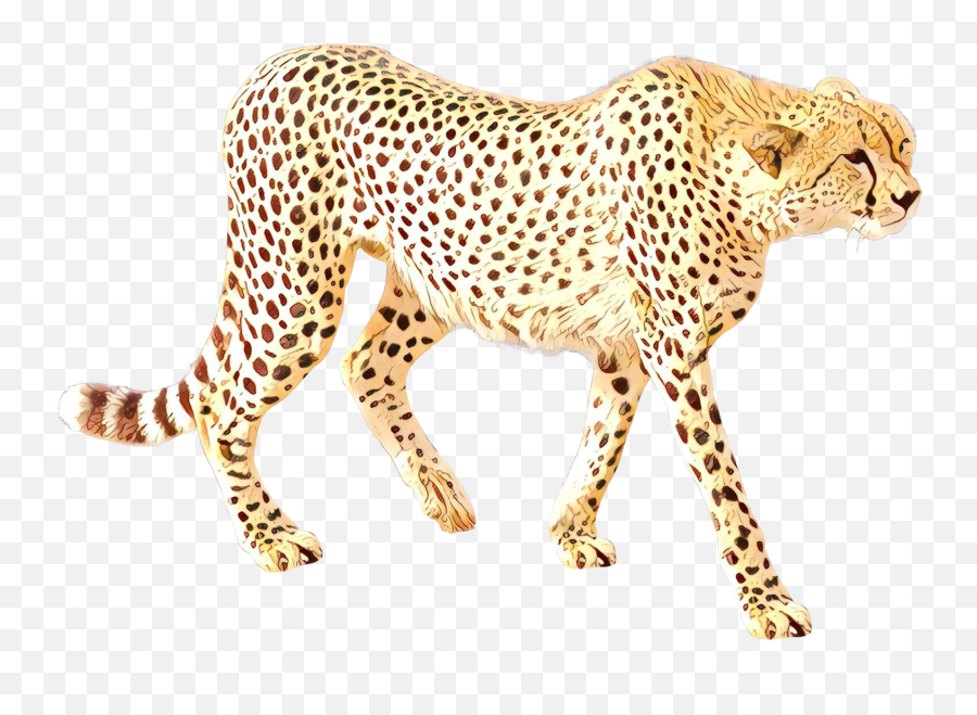 Cheetah Clipart Transparent Background - Transparent Background Transparent Animals Emoji,Animal Png