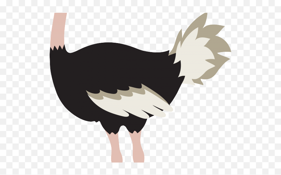 Ostrich Bird Clipart - Animated Image Of Ostrich Emoji,Ostrich Clipart