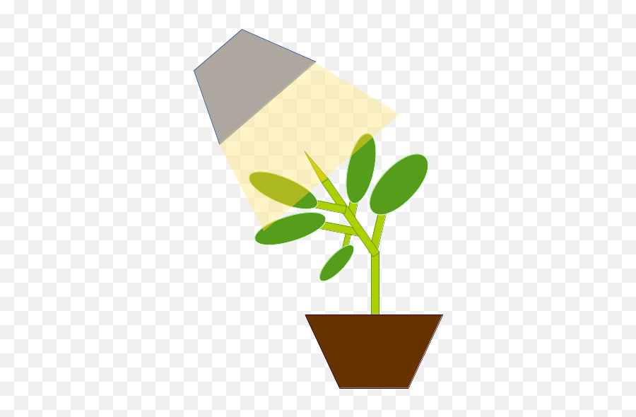 Pinecone Clipart Gymnosperm - Flowerpot Transparent For Indoor Emoji,Pinecone Clipart