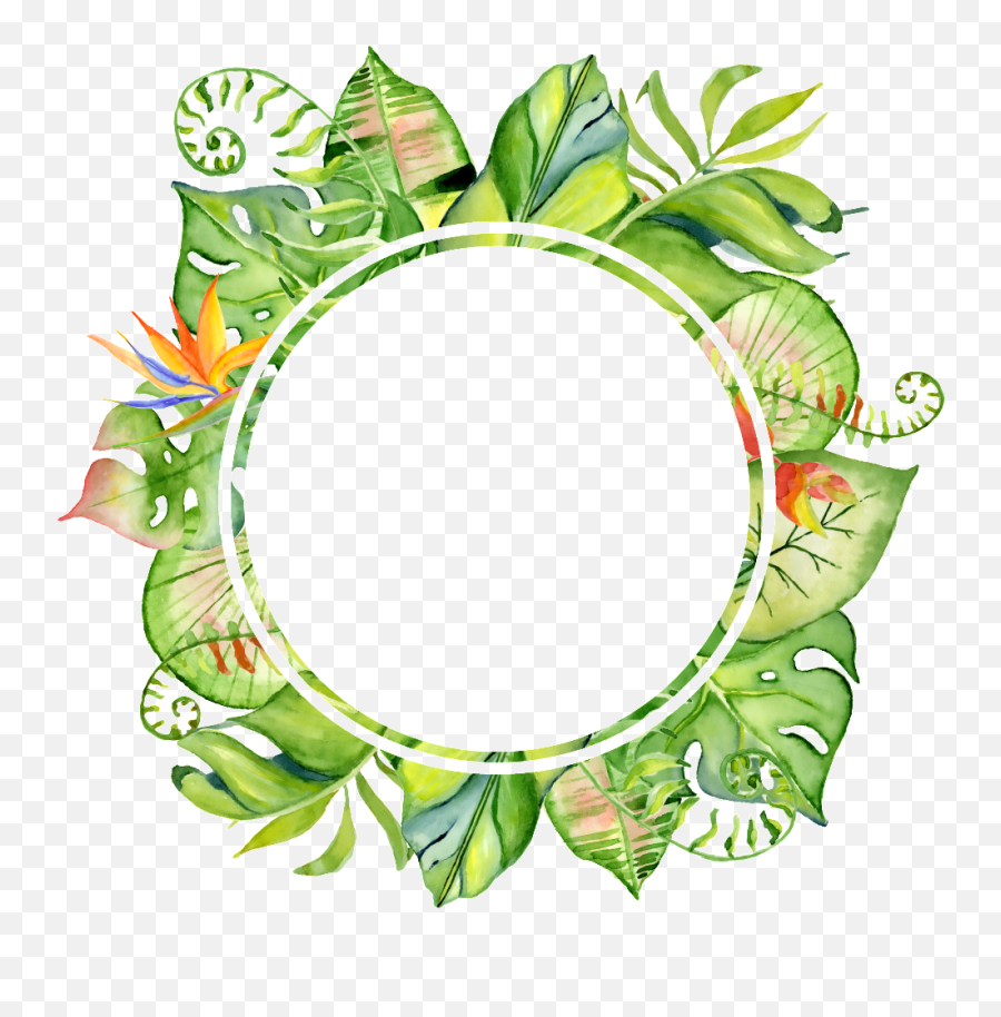 Hand Painted Original Leaf Frame Png Transparent - Frame Tropical Leaves Png Emoji,Sunflower Border Clipart